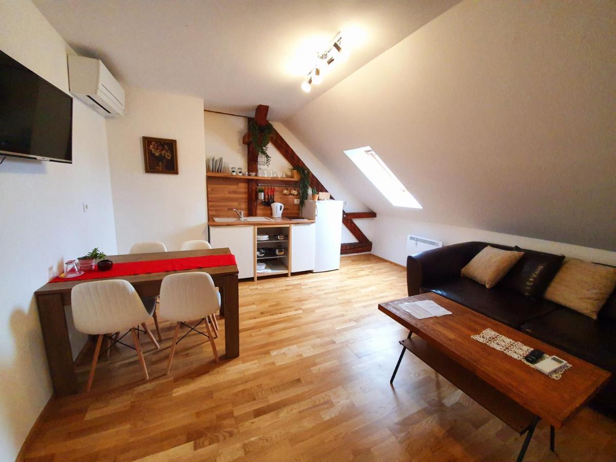 B&B Vila Teslova Ljubljana Buitenkant foto